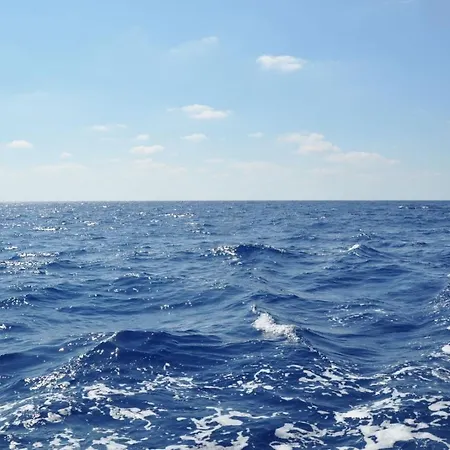 Appartement Large 2bd Near The *